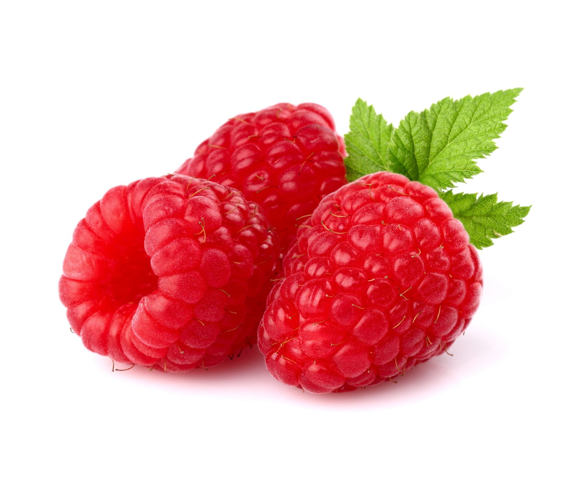 3 Fresh Raspberries